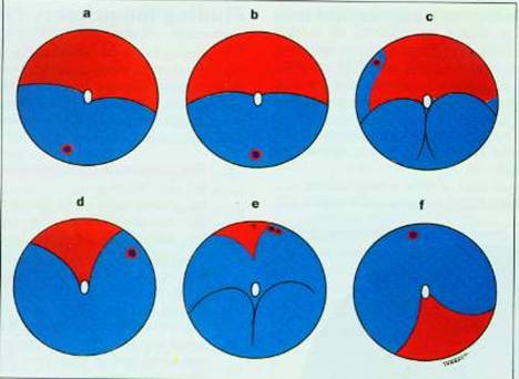 C:\My Documents\rd.Rt001.jpg